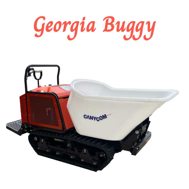 Georgia Buggy